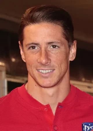 Fernando Torres: Profil, Karier, Klub, dan Julukan