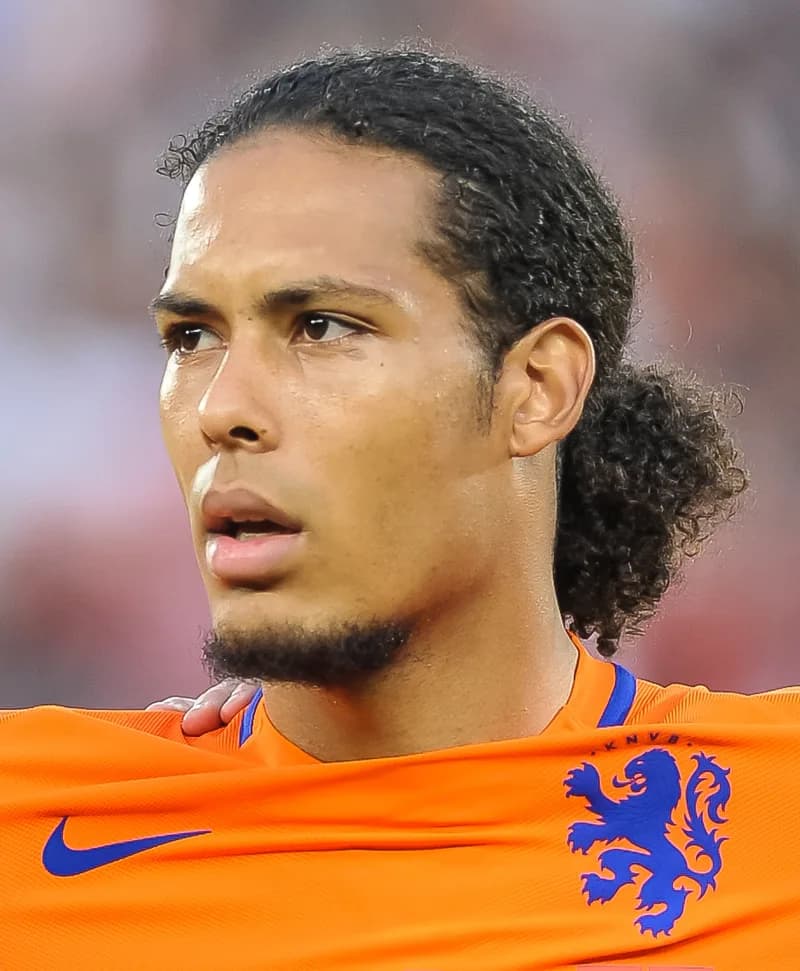 Profil Virgil van Dijk: Bek Tengah Elite